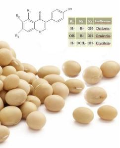 Wholesale memory: Soybean Extract (Soybean Isoflavones) and Benefits,Side Effect, Uses,Dosage,