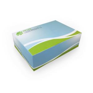 Wholesale dry box: Infectious Hypodermal and Hematopoietic Necrosis Virus(IHHNV)Nucleic Acid Detection Kit