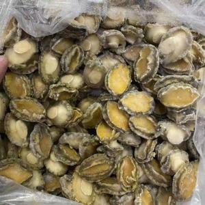 Wholesale Shellfish: Frozen Abalone