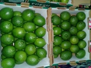 Wholesale ago: Lemon
