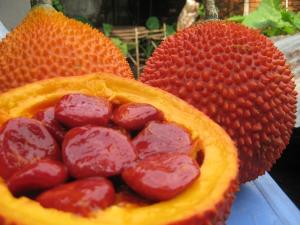 Wholesale beta carotene: GAC Fruit