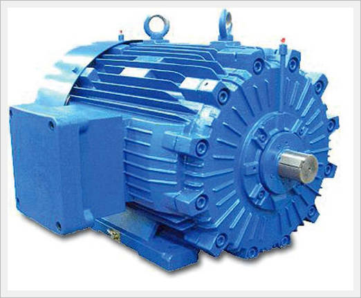 Explosion Proof Motors (Flame Proof D Type) image