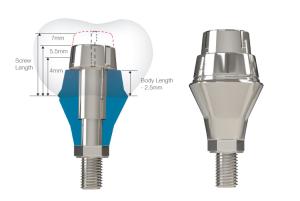 Dental Prosthetics - Submerged-Lock-Solid (Two-piece)