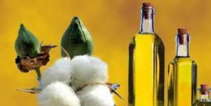 Wholesale 100 cotton: Cotton Seed Oil,