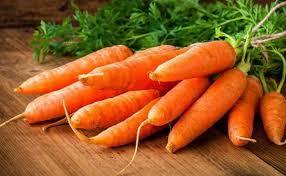 Wholesale fresh vegetable: Carrots
