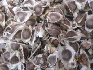Whole Seed Bag - Seed Bags Suppliers Whole Seed Bag - Seed Bags Suppliers