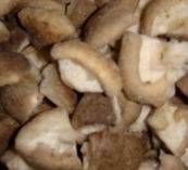 Wholesale oyster mushroom: Frozen Oyster Mushroom/ Pleurotes/ Shiitake Mushroom