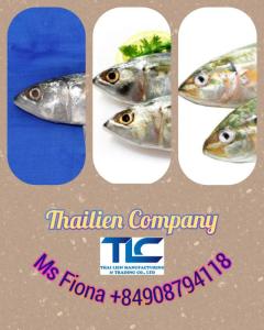 Wholesale fish meal: High Quality Vietnam Factory Frozen Fish Indian Mackerel