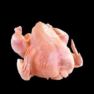 Wholesale feed: Organic Whole Chicken - 3.5-5 Lbs (Poulet Rouge Chicken)