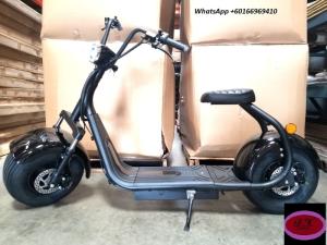 Wholesale long range: Citycoco Electric Scooter 2000w