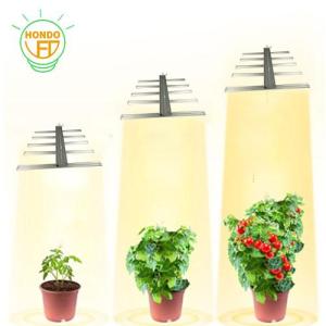 Wholesale indoor light: Bloom LED Grow Light Grow Indoor LED Plants Grow Cob