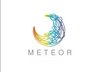 Ningbo Meteor Industry & Trade Co., Ltd Company Logo