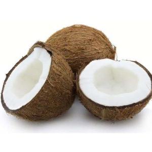 Wholesale coconut products: Semi Husked Coconut