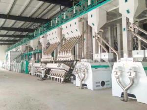 Wholesale chips making production line: 500T/D Rice Mill Plant