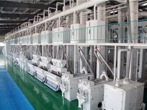 Wholesale rice mill rubber roller: 300T/D Rice Mill Plant