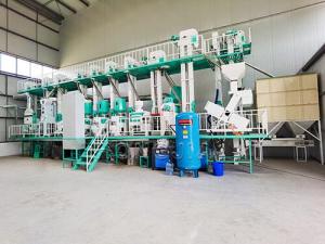 Wholesale automatic spray painting machine: 40T/D Rice Mill Plant