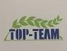 Top-team  Tianjin  International Trade Co., Ltd