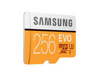 256GB EVO UHS-I MicroSDXC Memory Card (MB-MP256GA)