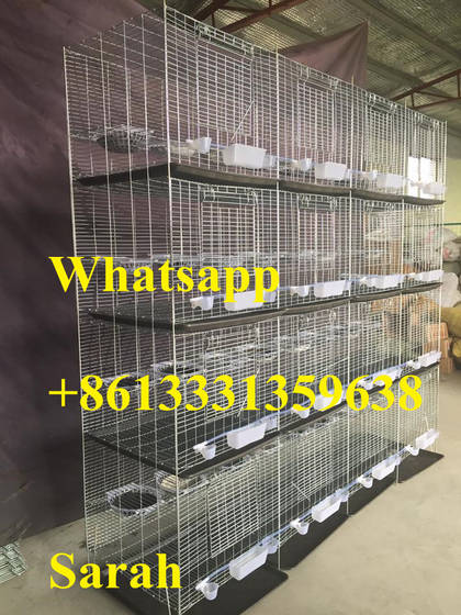 buy pigeon cage