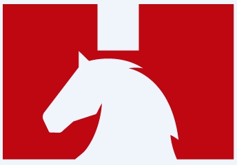 Shanghai Horse Construction Co., Ltd Company Logo