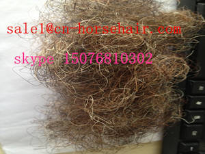 Wholesale hair chair: Curled Horse Fabric