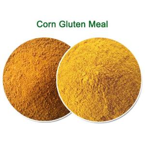 Wholesale corn gluten meal: 60% Corn Gluten Meal Animal Good Quality Animal Feed