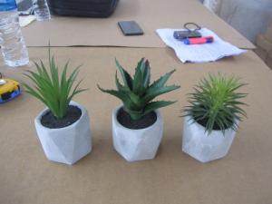 Wholesale pot: Testing the Third-party Quality  Potted Plants Quality Testing