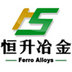 Anyang Hengsheng Metallurgical Refractories Co.,Ltd. Company Logo
