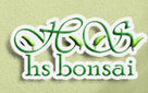 HS Bonsai Nursery Company Logo