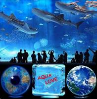 Microcontroller Operated Fish Feeder System for Intensive Fish Farms - NEW PRODUCT for GLOBAL MARKET