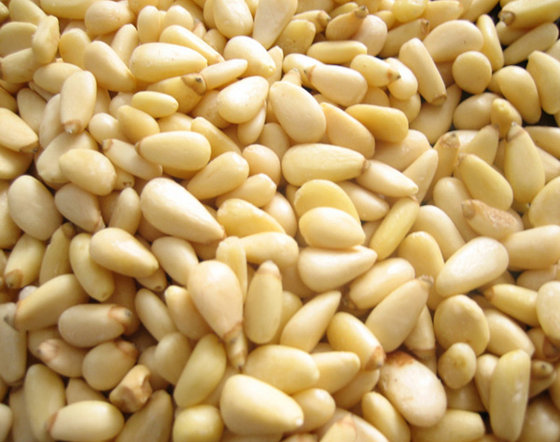 Pine Nuts(id:9176065). Buy Hungary Pine Nuts - EC21