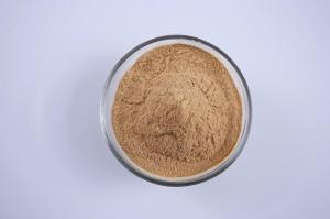 Wholesale Plant Extract: 100% Natural Ginger Extract Ginger Root Extract Ginger Extract Powder Zingiber Officinale Gingerols