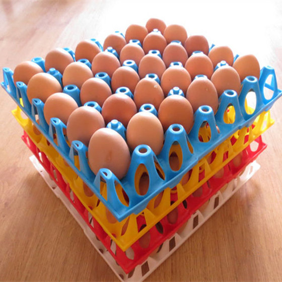 Plastic 30 Egg Tray(id:10115581) Product details - View Plastic 30 Egg ...