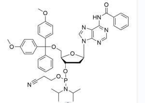 Wholesale Pharmaceutical Intermediates: 2'-da(Bz) Phosphoramidite Cas No. 98796-53-3 Wholesale