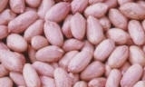 Sell  peanut kernel