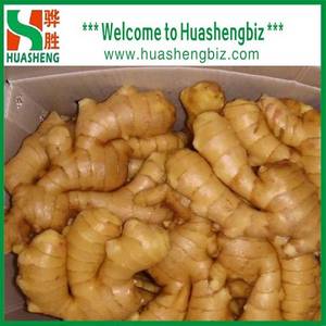 Wholesale green food: Chinese Fresh Ginger