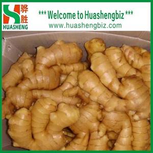 Wholesale fresh ginger: Chinese Fresh Ginger