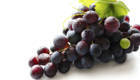 Wholesale Plant Extract: Grape Seed P.E.