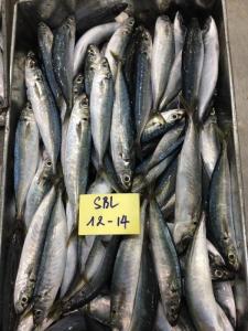 Wholesale dried anchovy: Layang Scad