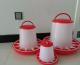 Plastic Poultry Chicken Feeders and Drinkers Chick Water Feeder and Drinker for Farm Using