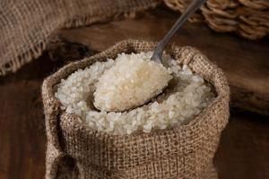Wholesale jasmine rice: Long Grain White Rice 5% Broken