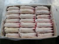 Wholesale Meat & Poultry: Frozen Pork Parts / Frozen Pork Hind Feet / Frozen Pork Feet