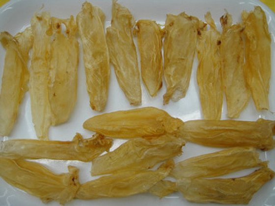 Export Quality Dried Fish Maws Frozen And Dried Seabass Fish Maw Id 8907265 Buy Vietnam Seabass Fish Maw Datina Fish Maw Shrimp Ec21