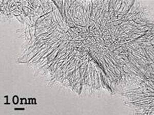 Wholesale synthesis gas composition: Single Layer Carbon Nanohorn