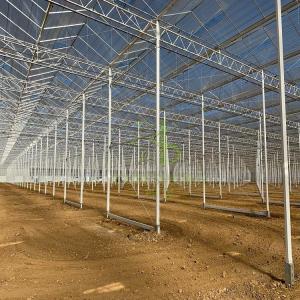 Wholesale insect control: Natural Ventilation Greenhouse