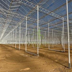 Wholesale roof gutter system: Venlo Glass Greenhouse
