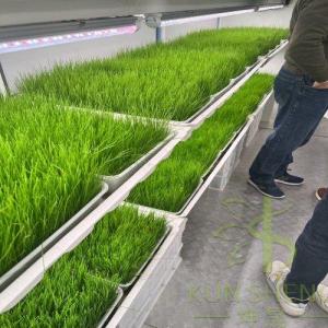 Wholesale bed spread: Hydroponic Fodder Container Farm