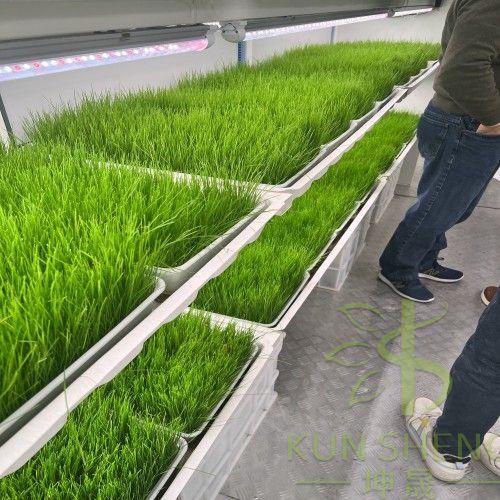 Hydroponic Fodder Container Farm(id:11798433) Product details - View ...