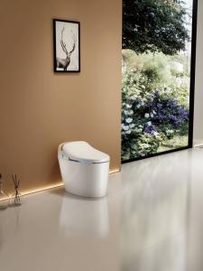 8118 No Water Tank One-piece Intelligent Toilet Seat Smart...