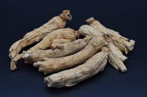 Wholesale ginseng products: Ginseng Root